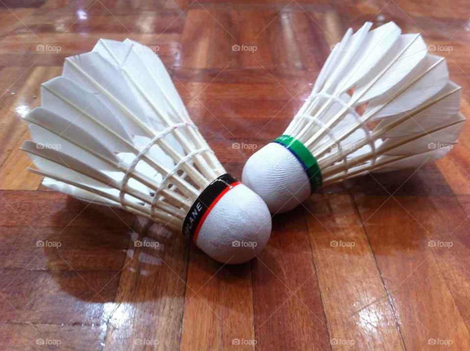 wood play colors feathers by king