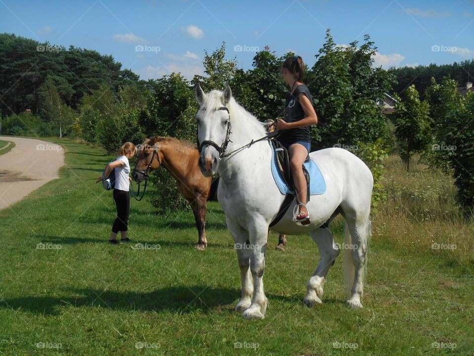 horse pet with woman