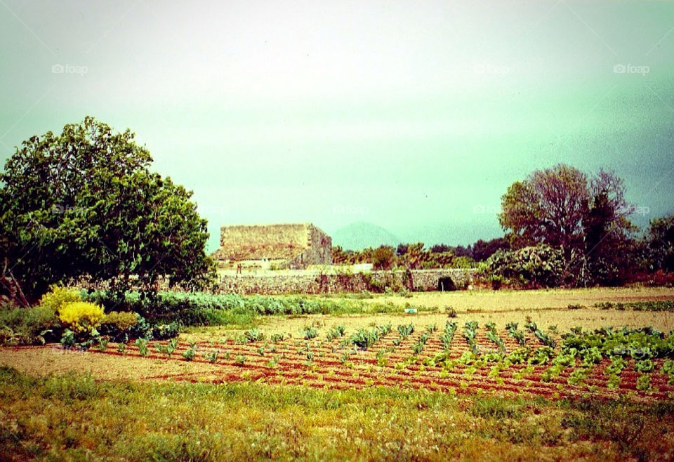 Scenery of Mallorca