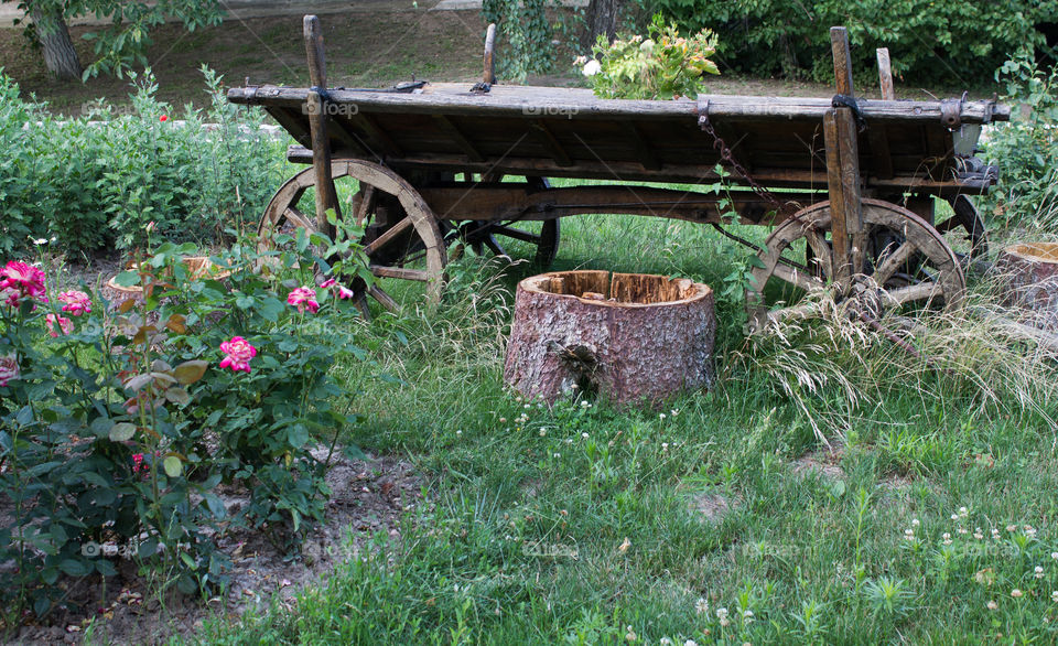 Cart, Garden, Wood, Flower, Bench