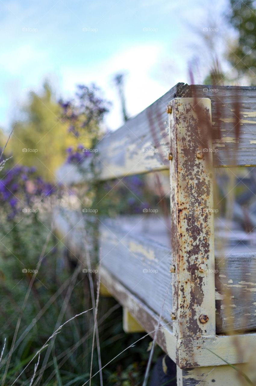 Rustic vintage wagon in a field with purple wildflowers in the spring