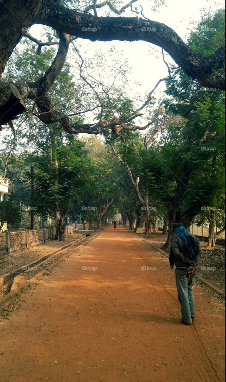 a walk through the Park.