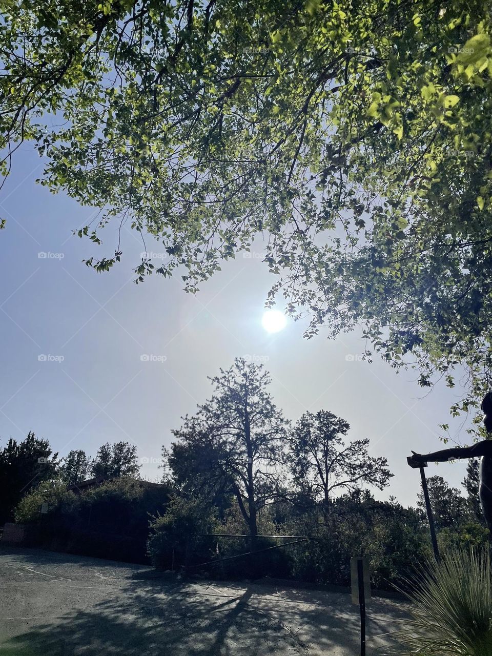 Magnificent !!! Sun Aura.