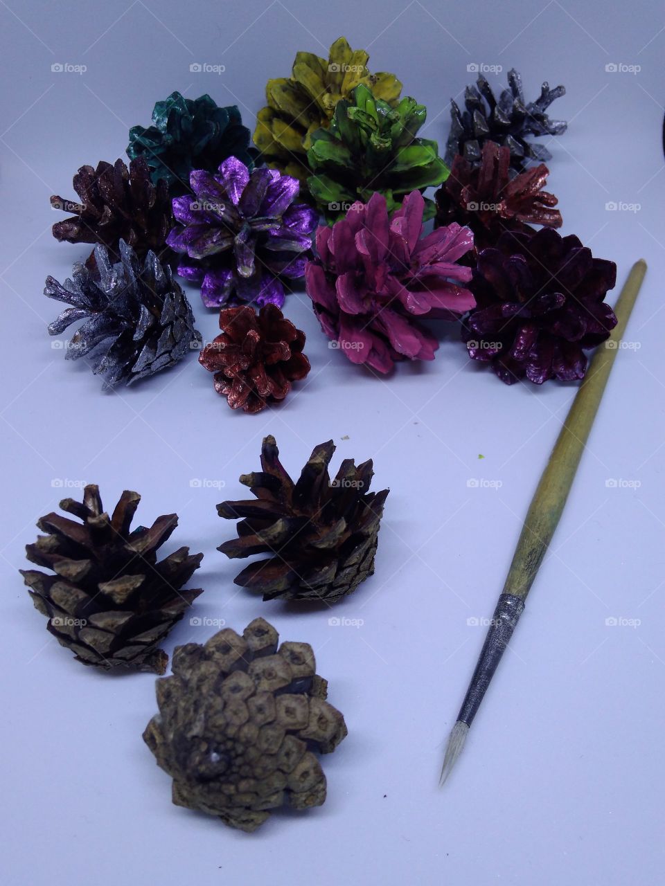 Hand painted fir cones