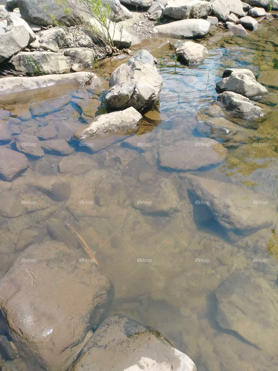 water