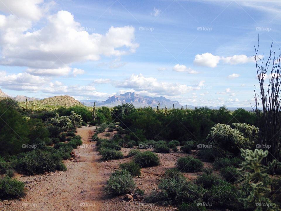 Superstition Mountains as seen from a hike in Mesa, AZ