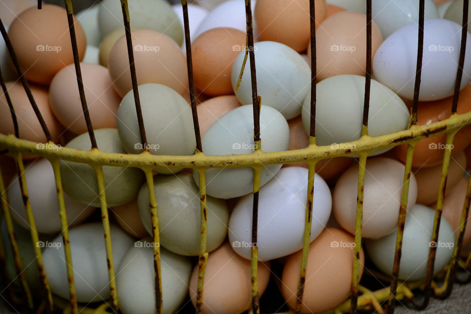 eggs farm by meesha31