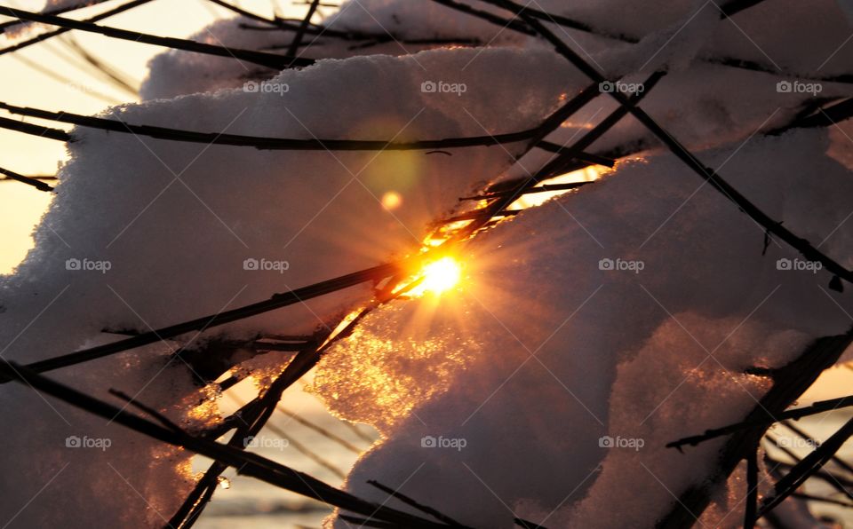 No Person, Sunset, Light, Flame, Winter