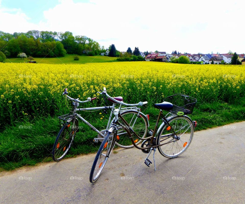 Bicycles ... and the field .