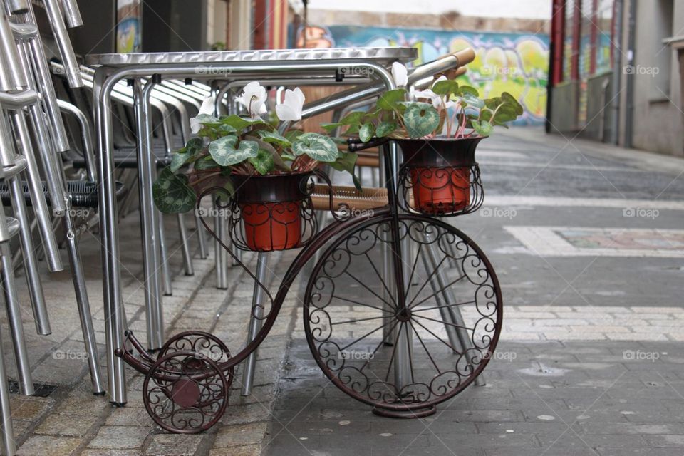 Bicycle planter