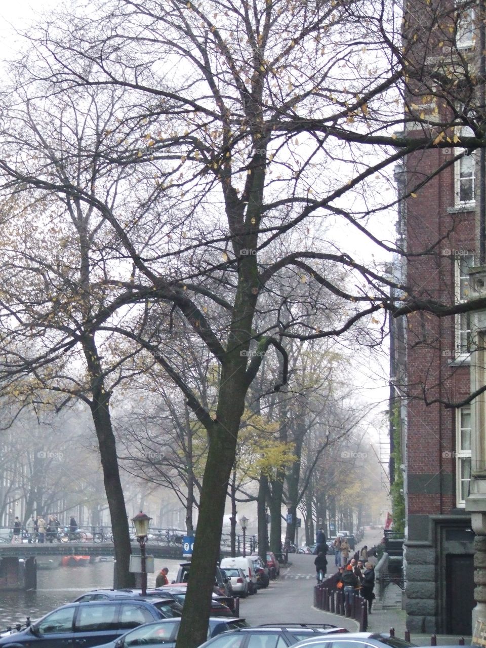 Amsterdam,  Netherlands