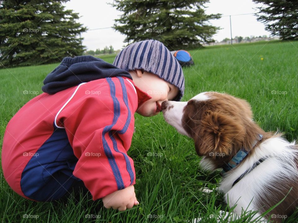 Cuteness overload at the ballgame 