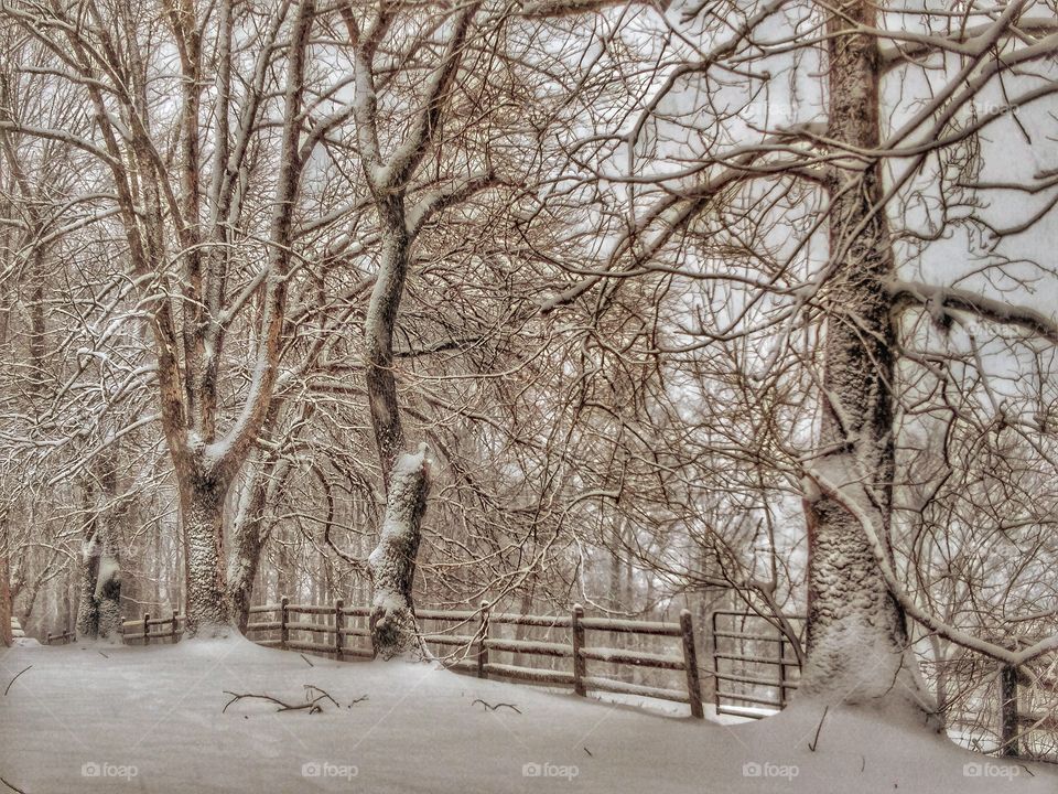 wet snow on trees and wooden fence in rural maryland