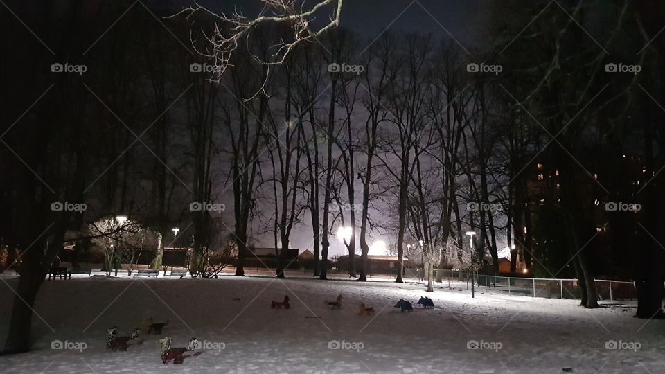 A park in Oslo'In'Norway