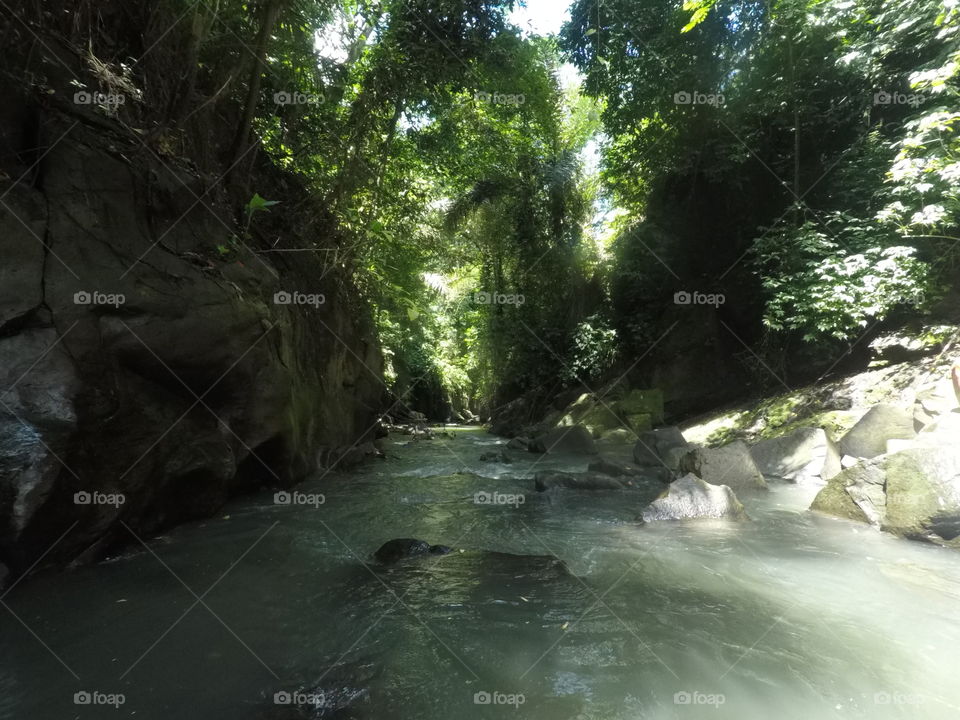 Jungle river Bali ubud 