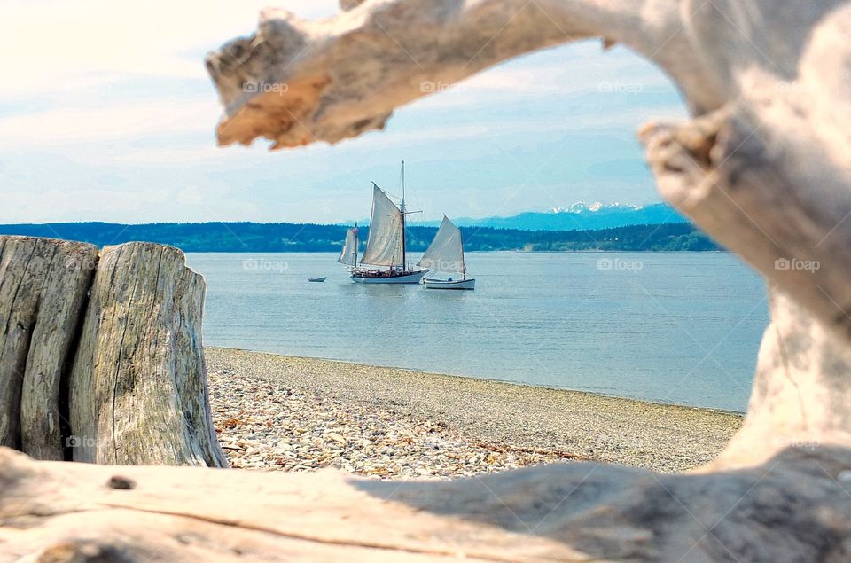 They're Here. Wooden Sail Boats at Cama Beach, Washington 