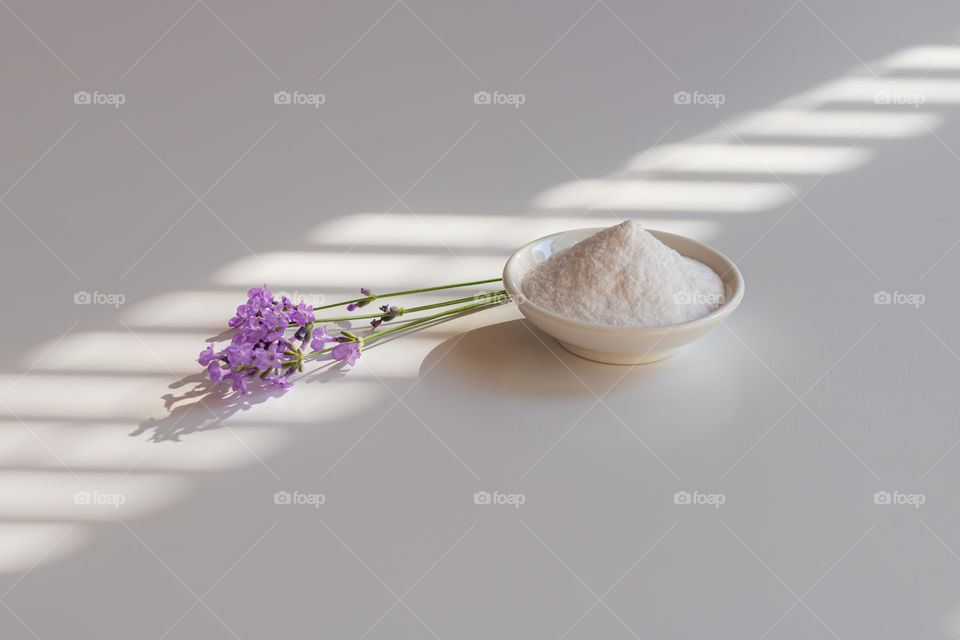 Lavender flowers and collagen powder in the shadows of morning light.
