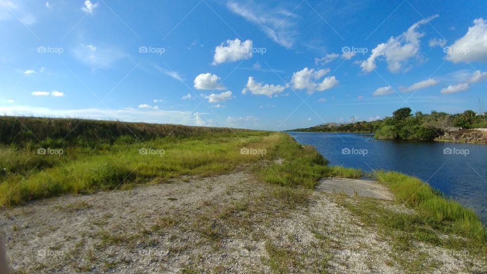 Everglades Landscape