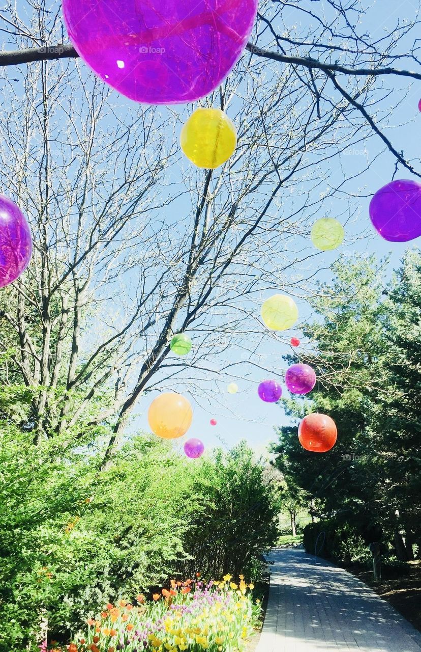 Balloons | Beautifull balloons | flying Blloons 