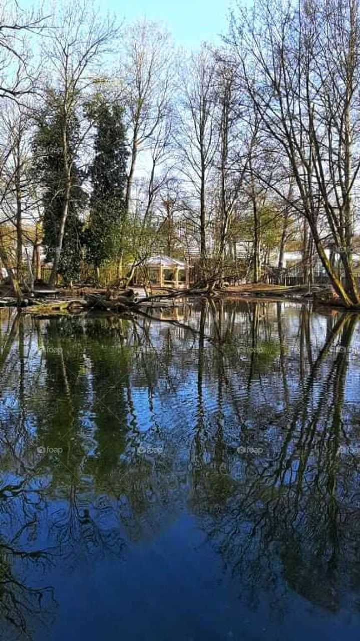 Building in the nature