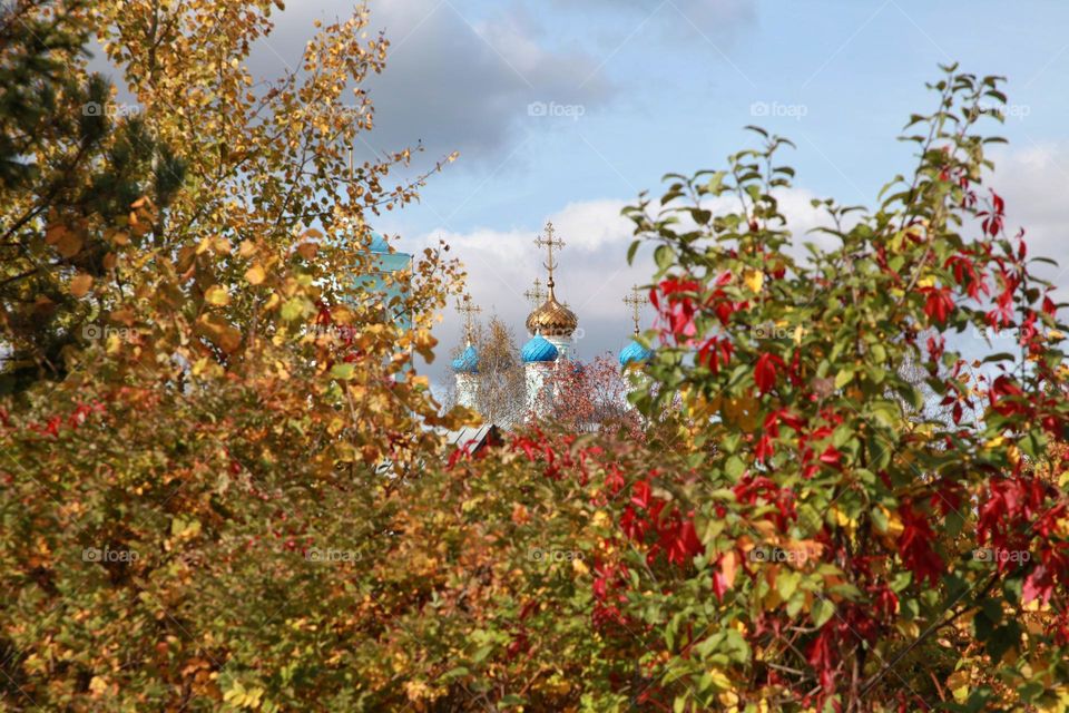 autumn landscapes and trees in colorful outfits