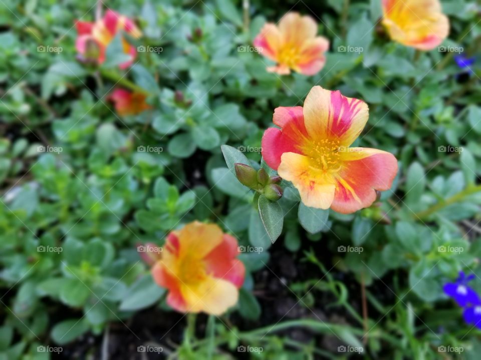 Stand Out in the Crowd