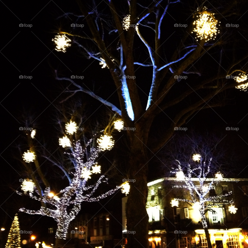 winter dark lights evening by apodiform