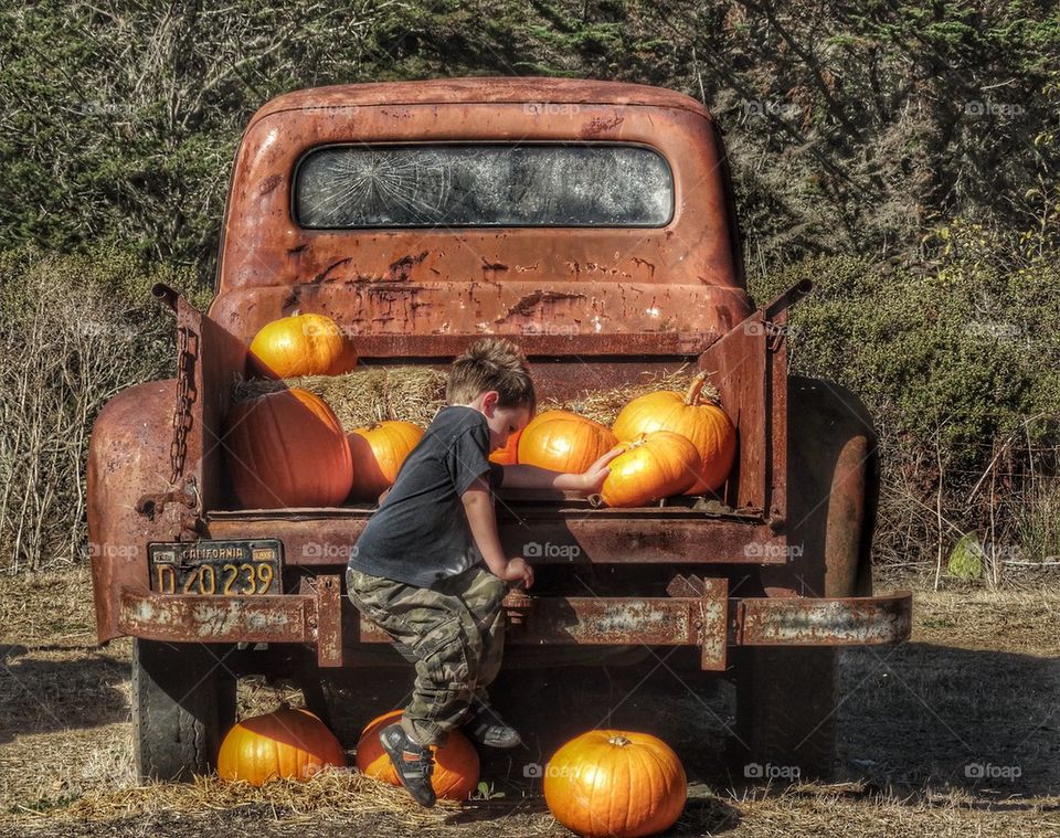 Farm Boy Loading Pumpkins