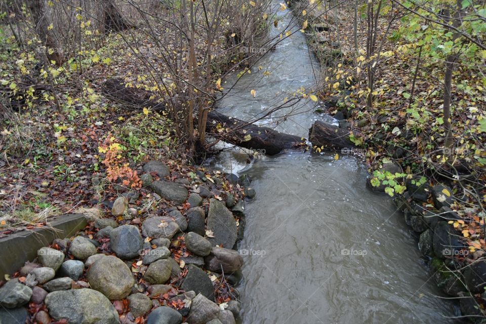Water, River, Fall, Stream, Wood