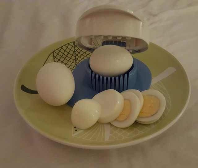 egg