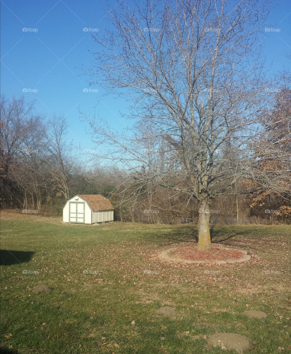 little dream house views