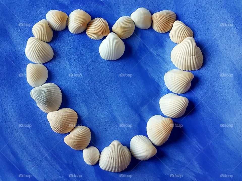 Seashell heart