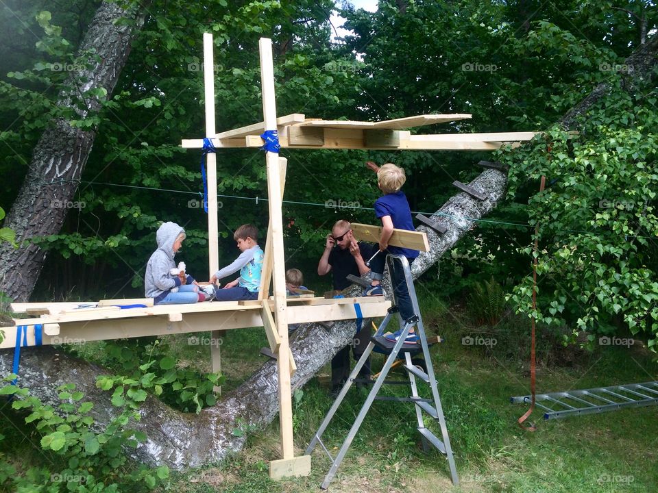 Kids building treehouse 