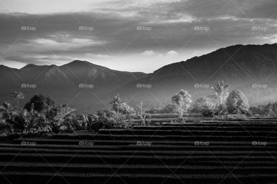 beauty morning light mountain range