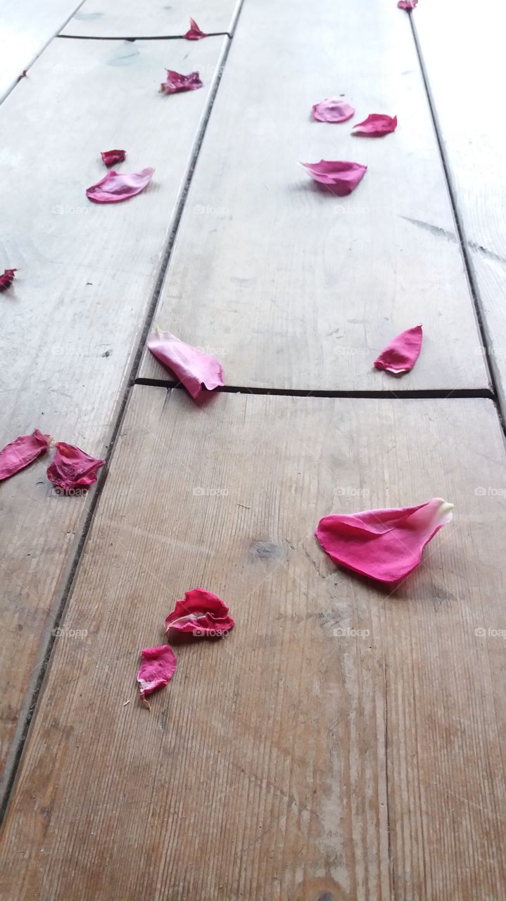 wooden floor with petals