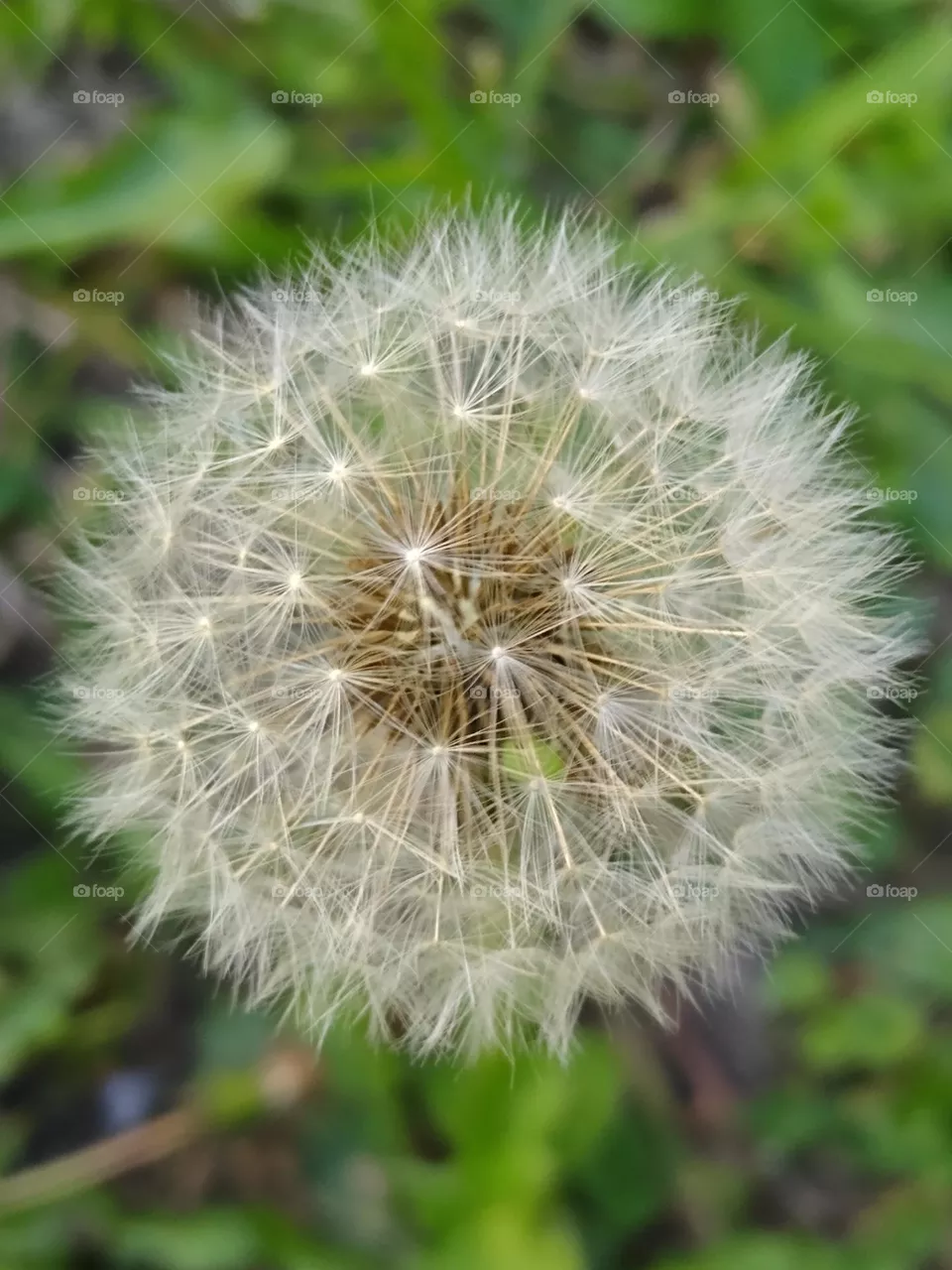 Nature