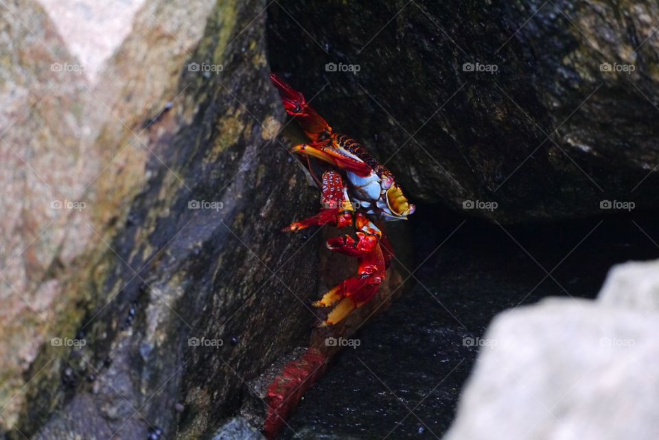 Rock, No Person, Climb, Outdoors, Nature