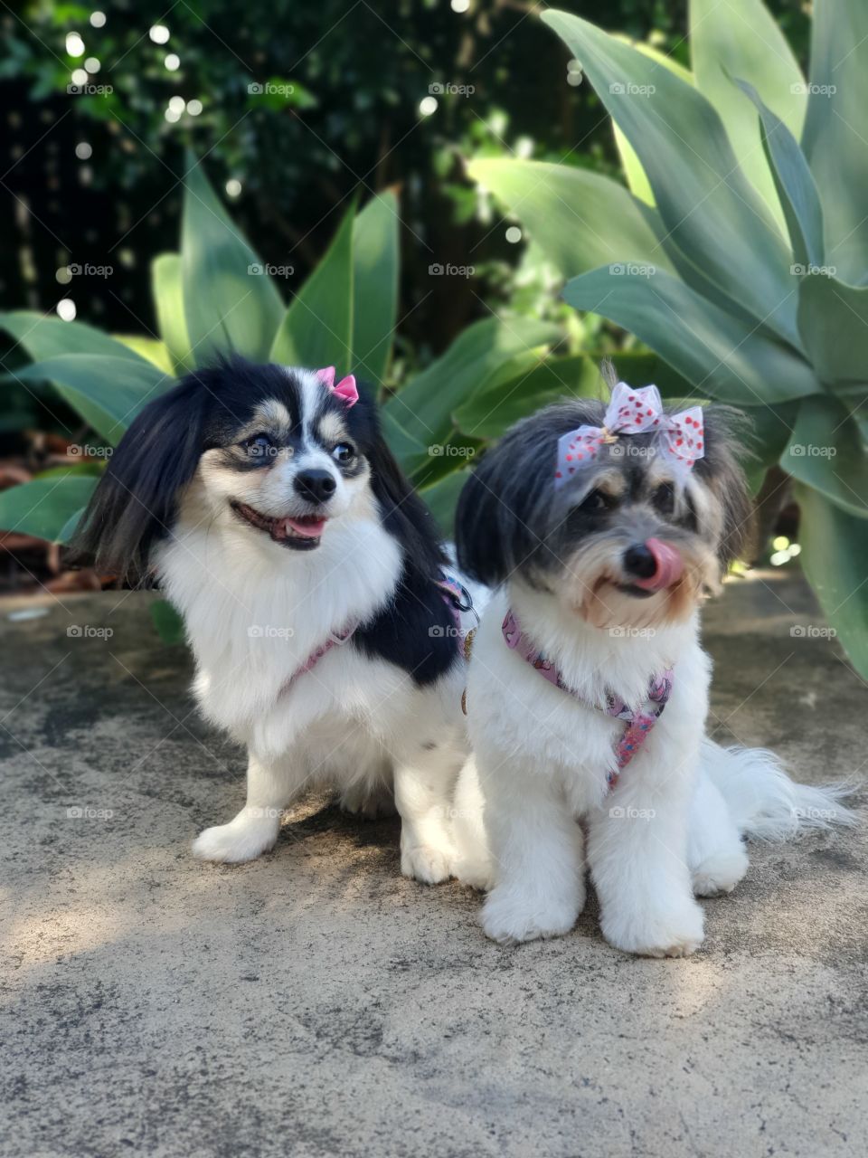 Mother daughter portrait