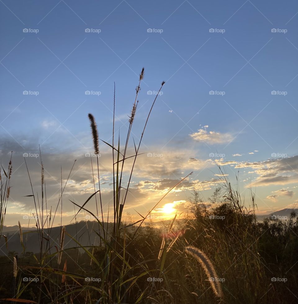 🌄🇺🇸 An extremely beautiful dawn in Bragança Paulista, interior of Brazil. Cheer the nature! / 🇧🇷 Um amanhecer extremamente bonito em Bragança Paulista, interior do Brasil. Viva a natureza!