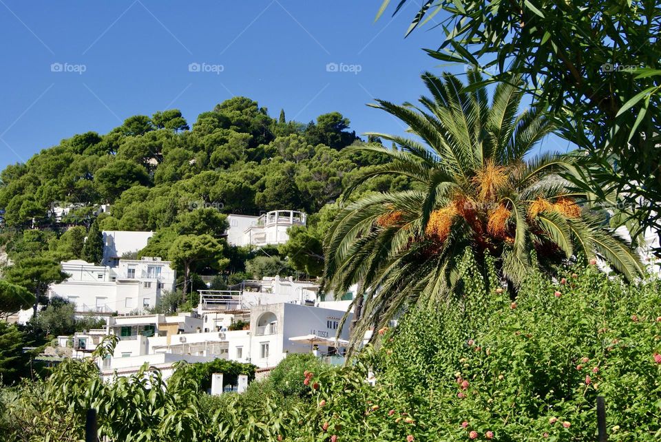 Houses on the mountain 