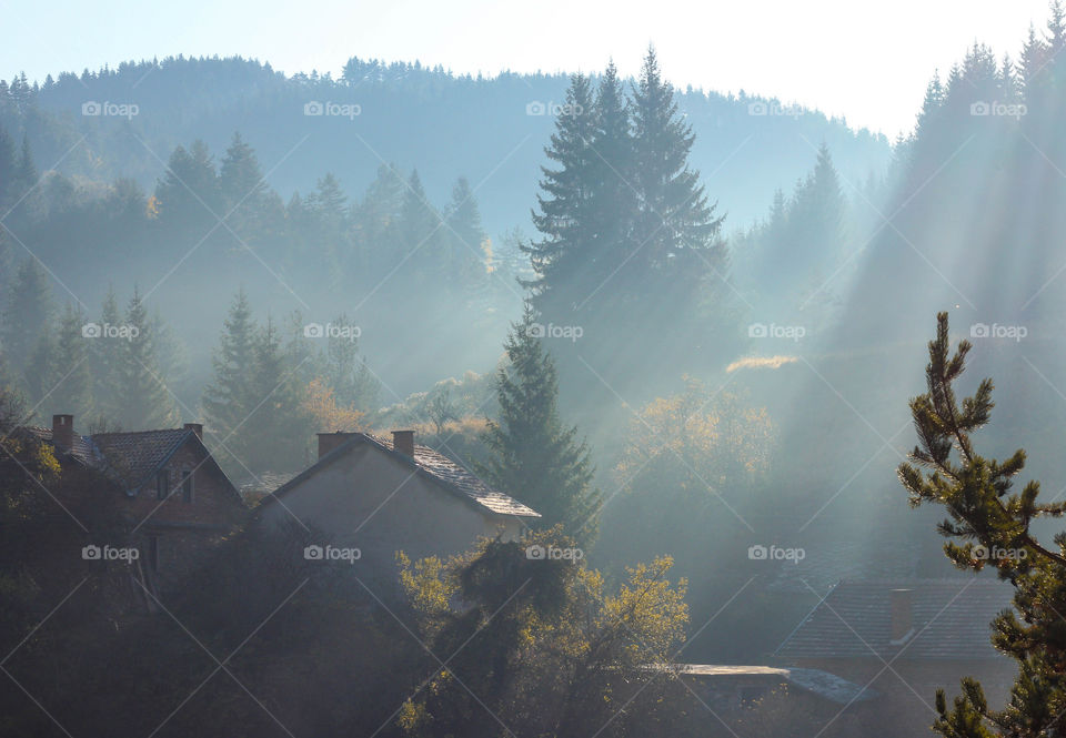 Sunrays and foggy, countryside landscape