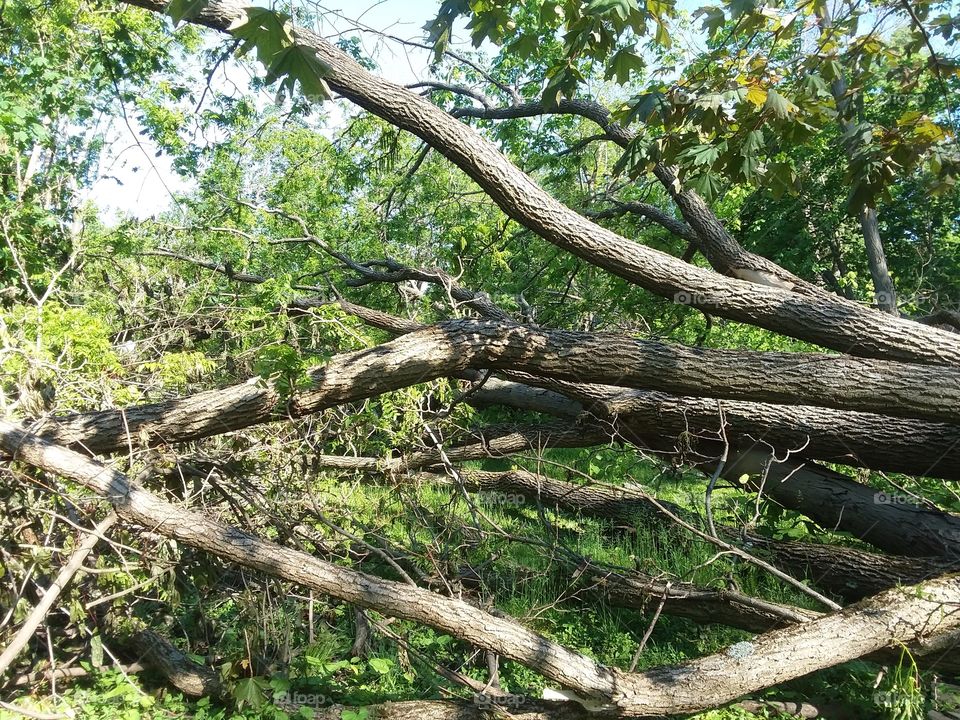 tornado damage