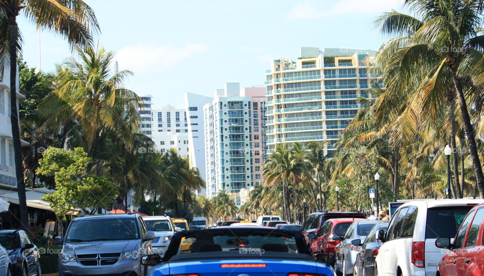 Cruisin' South Beach