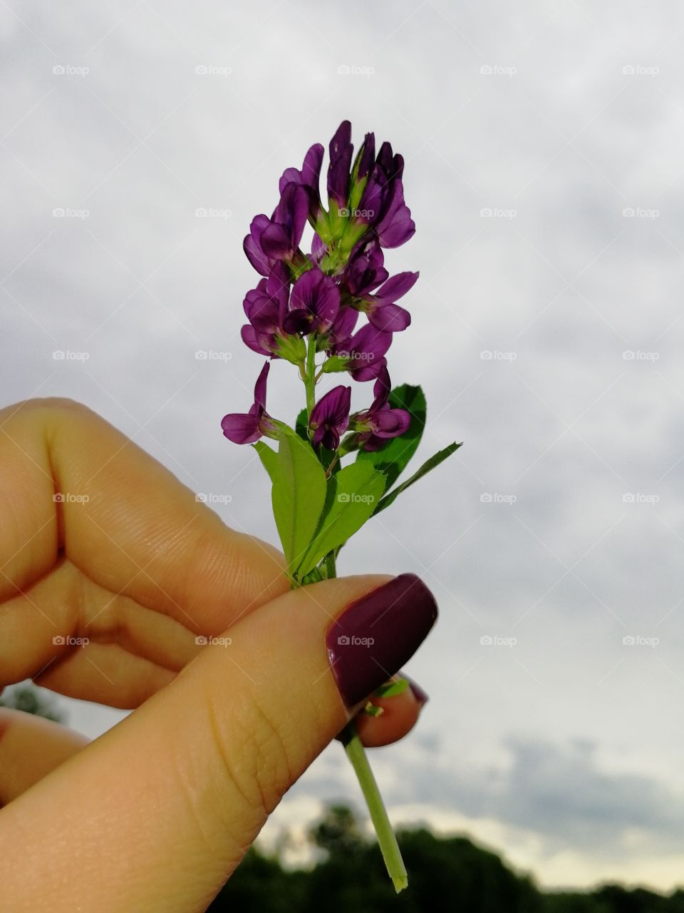 For me, only the sky is the limit