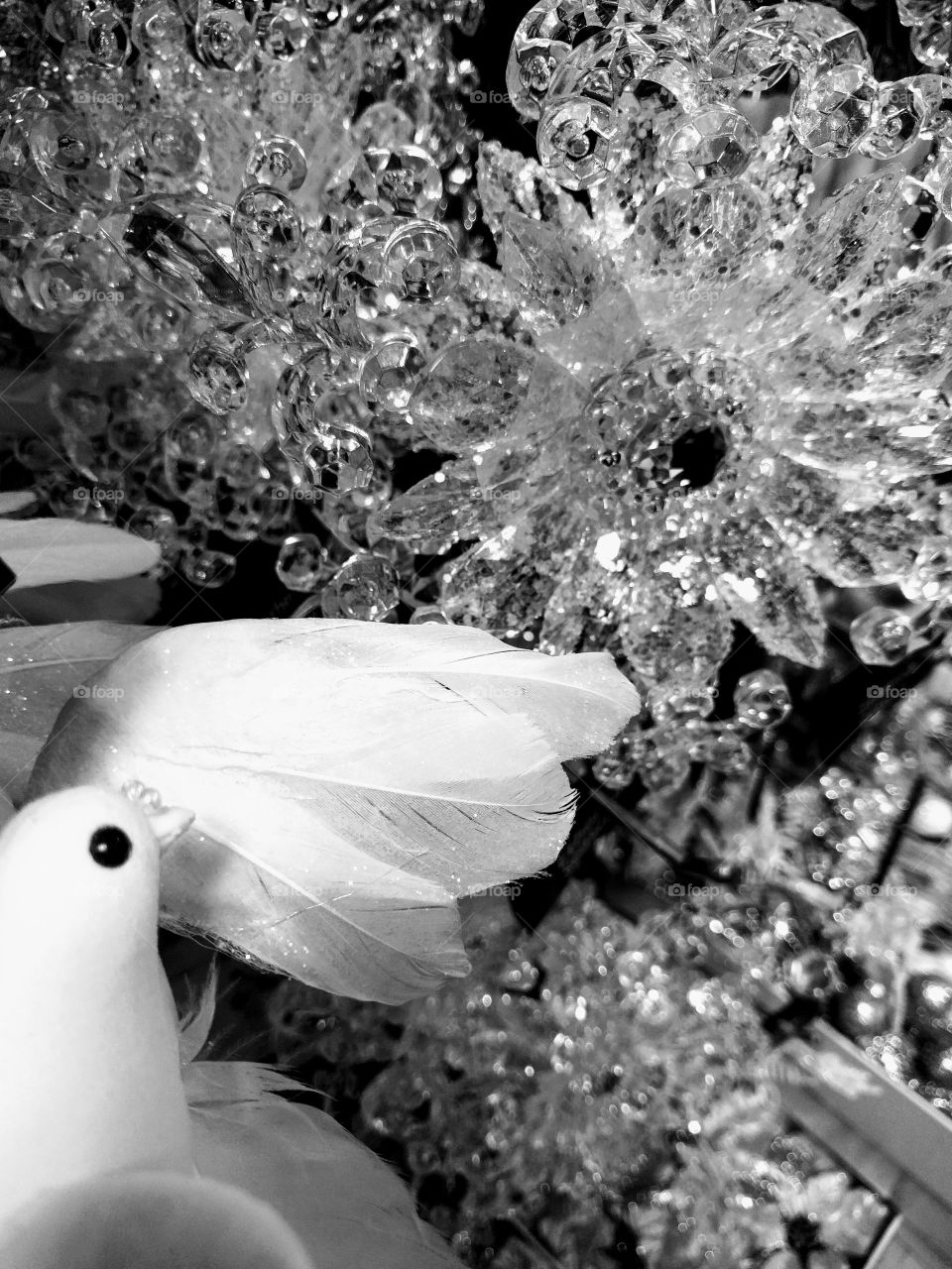 monochrome white dove feathers and crystal star Christmas decorations