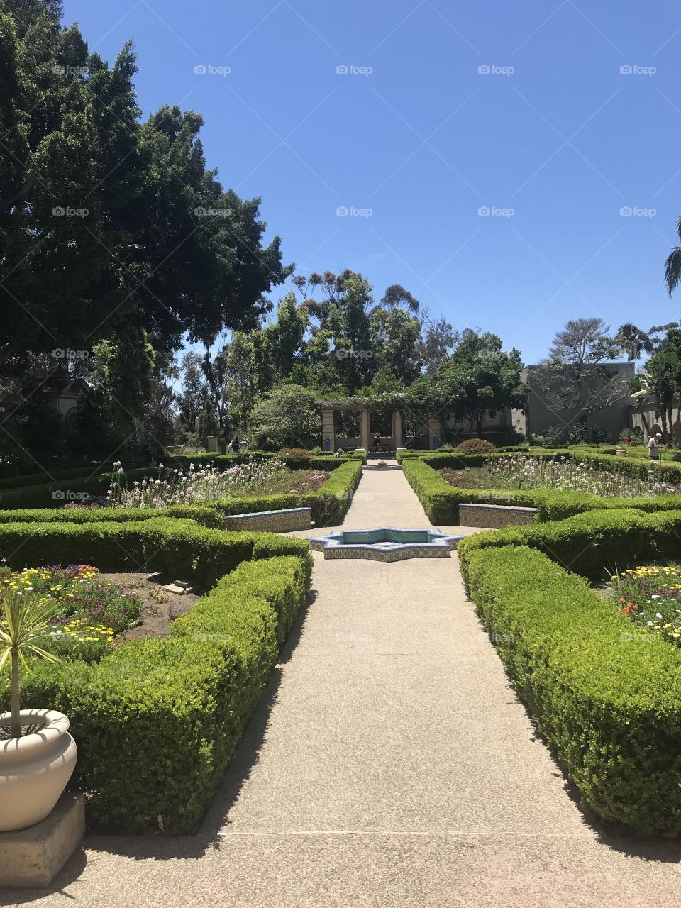 Green peaceful garden in the park 