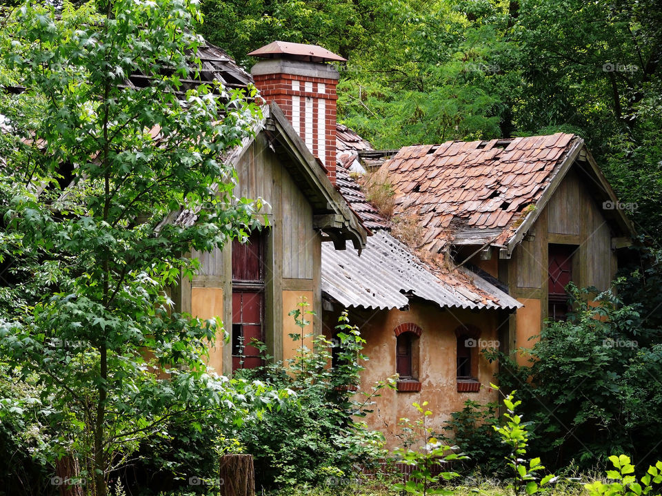 The Hut In The Forest