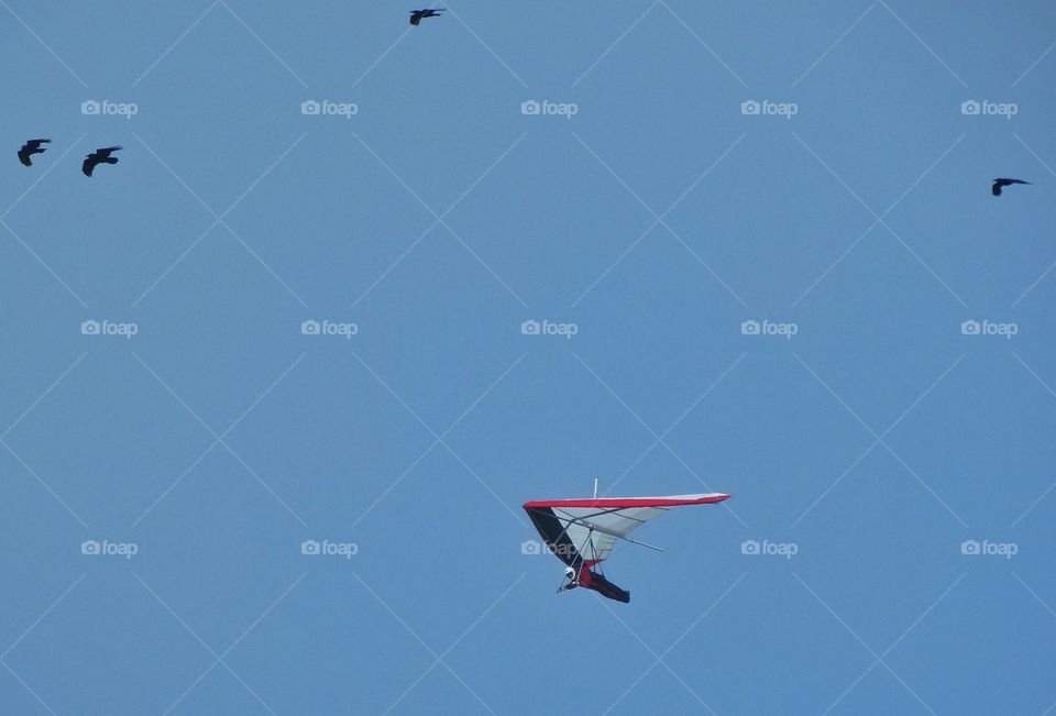 Soaring Hang Glider