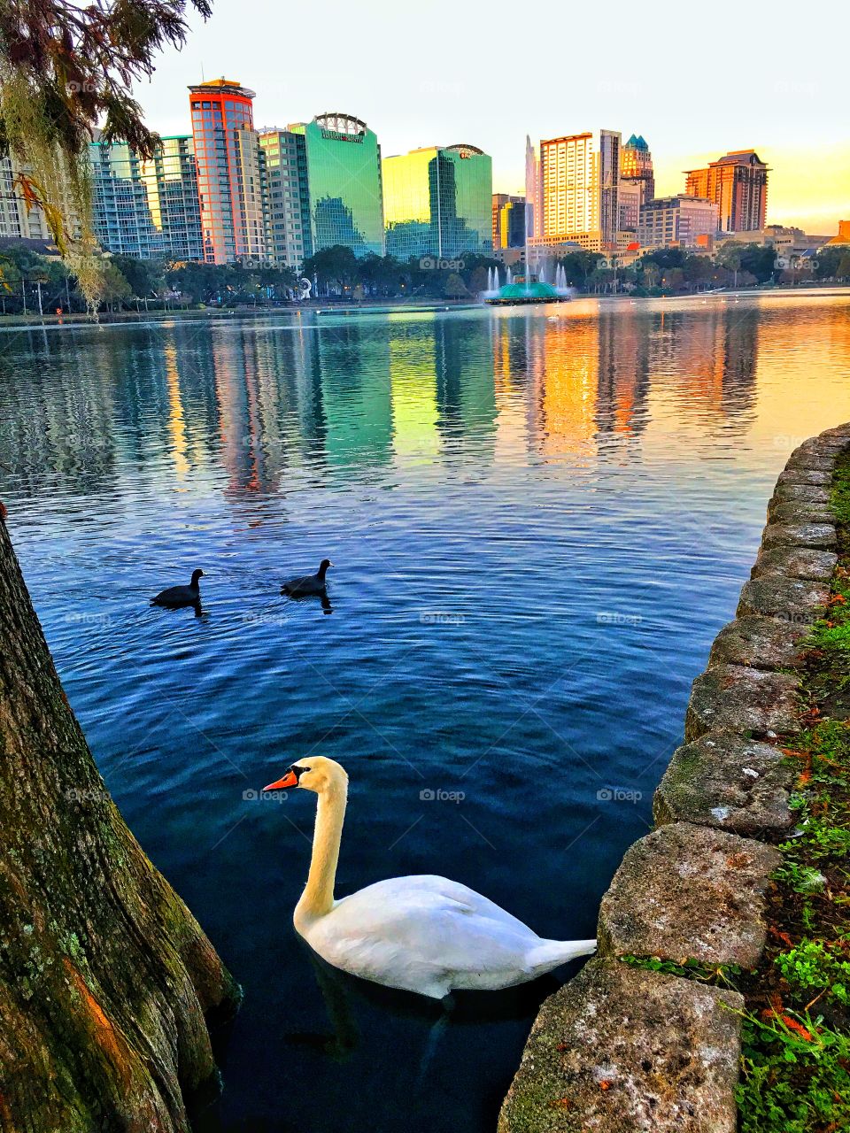 Colorful lake Eola 