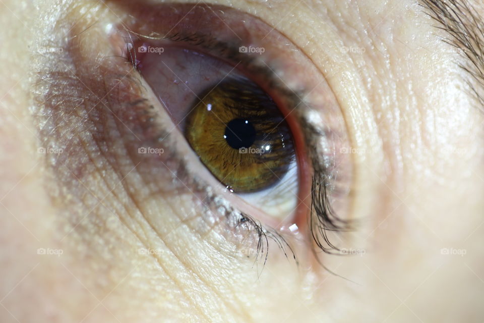 Close-up of eye